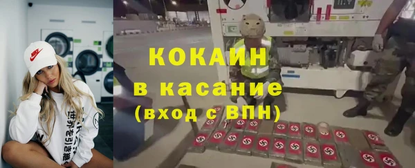 сатива Магадан