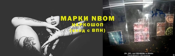 сатива Магадан