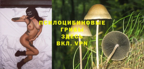сатива Магадан