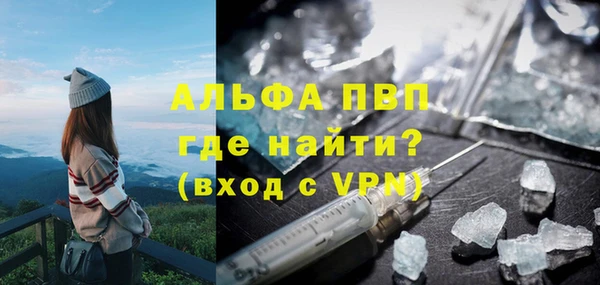 сатива Магадан