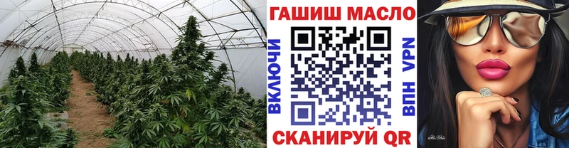 ТГК вейп  Купить  Шлиссельбург 