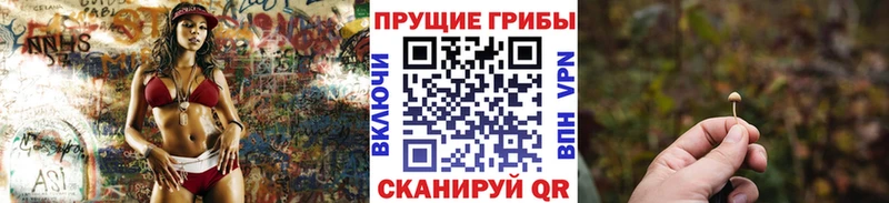Псилоцибиновые грибы MAGIC MUSHROOMS  Купить  Шлиссельбург 